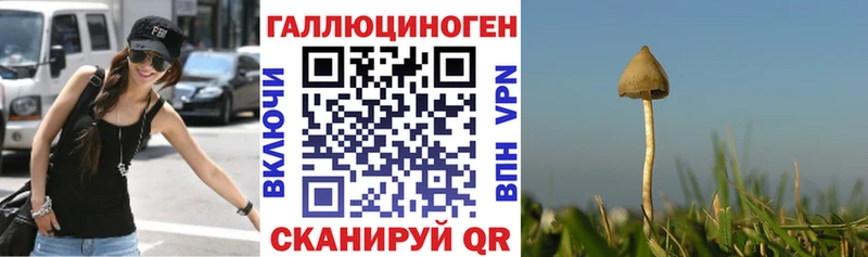 Галлюциногенные грибы мухоморы  Армянск 